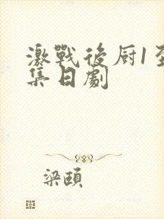 激战后厨1至5集日剧