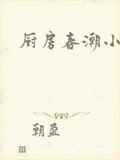 厨房春潮小说