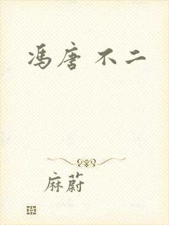 冯唐 不二封面