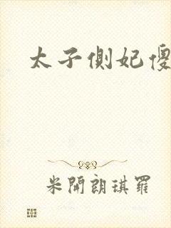 太子侧妃傻乎乎
