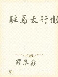 驻马太行侧