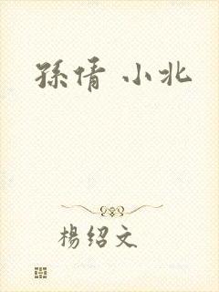 孙倩 小北封面