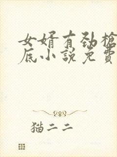 女婿有劲枪枪到底小说免费看