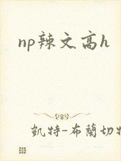 np辣文高h