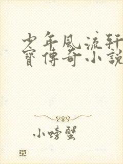 少年风流轩辕大宝传奇小说