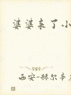 婆婆来了小说封面