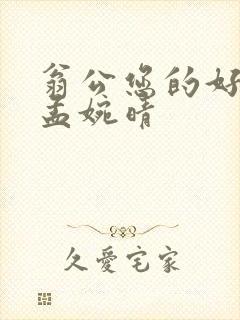 翁公您的好长呀孟婉晴封面