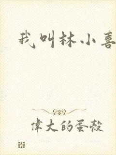 我叫林小喜17