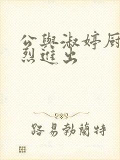 公与淑婷厨房猛烈进出