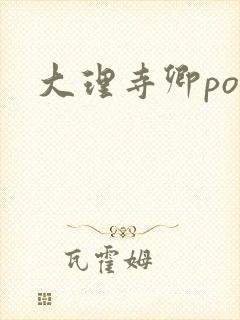 大理寺卿po封面