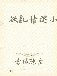 欲乱情迷小说
