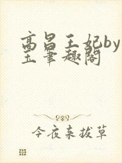 高昌王妃by黛玉笔趣阁