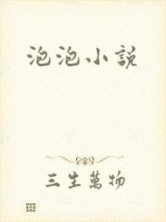 泡泡小说封面