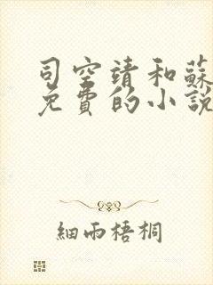 司空靖和苏月汐免费的小说笔趣阁
