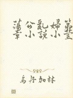 荡公乱妇第51章小说小莹