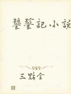 饕餮记小说
