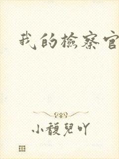 我的检察官先生