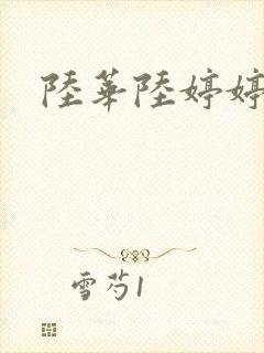 陆华陆婷婷封面