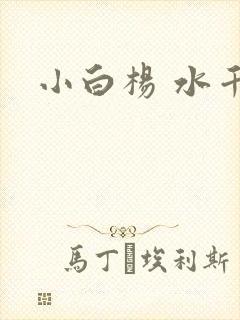 小白杨 水千丞