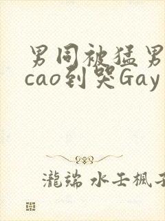 男同被猛男房东cao到哭Gay