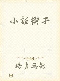 小说楔子