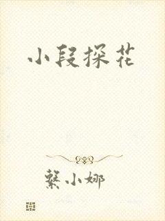 小段探花