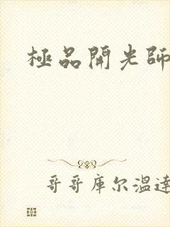 极品开光师封面