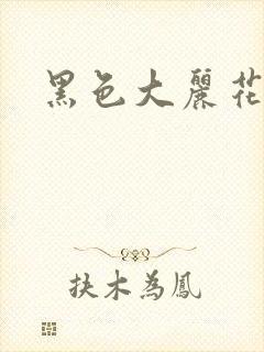 黑色大丽花图片