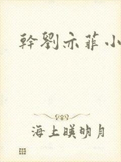干刘亦菲小说