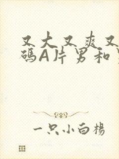 又大又爽又黄无码A片男和男