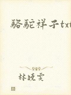 骆驼祥子txt