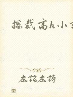 总裁高h小说