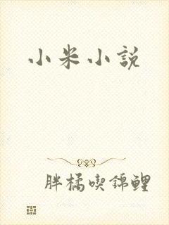 小米小说