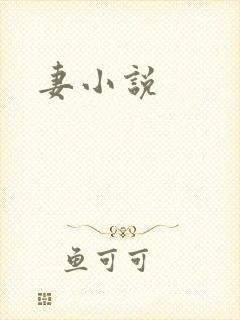 妻小说