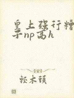 皇上强行糟蹋太子np高h