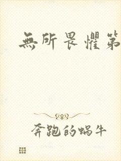 无所畏惧第二部