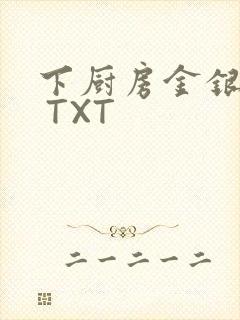 下厨房金银花露 TXT封面