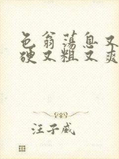 色翁荡息又大又硬又粗又爽