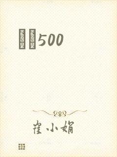 С˵500封面