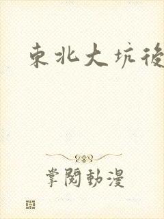 东北大坑后续2