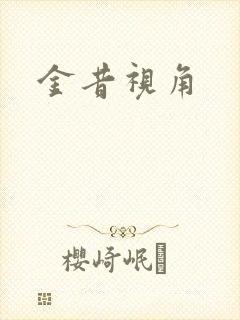 金昔视角封面