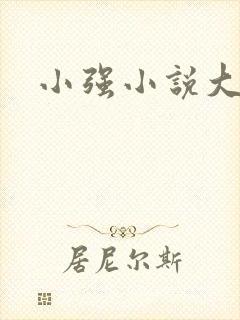 小强小说大全