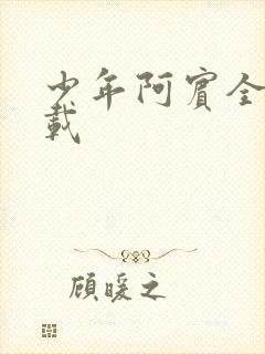 少年阿宾全集下载封面