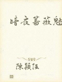 暗夜蔷薇魅