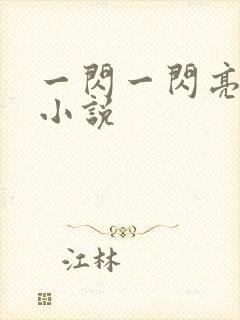 一闪一闪亮星星小说