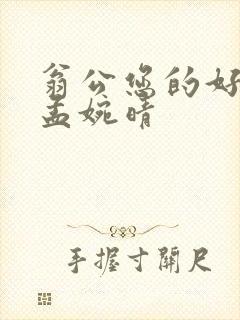 翁公您的好长呀孟婉晴封面