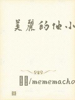美丽的他小说