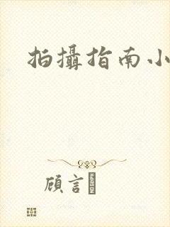 拍摄指南小说