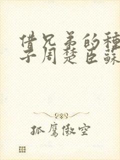 借兄弟的种生孩子周楚臣苏糖