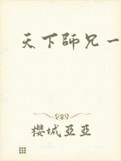 天下师兄一般黑封面